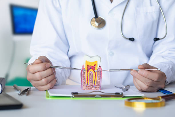 Best Emergency Treatment for Dental Infections or Abscesses in River Oaks, TX
